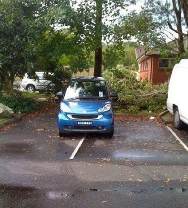9. Oameni care nu ar trebui sa mai aiba permisul de sofer