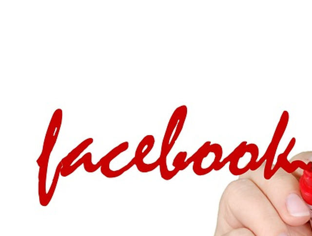 Influenta retelelor de socializare in alegeri