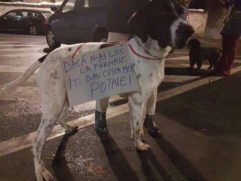 Mesaje din Piata Victoriei