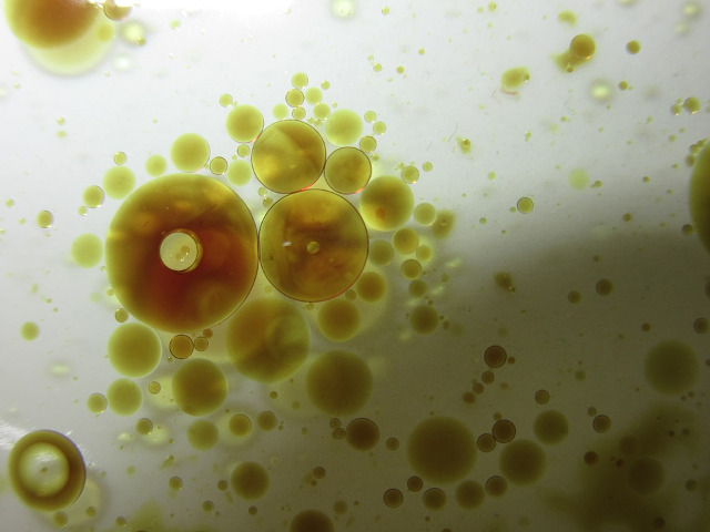 Pete de grasime si ulei