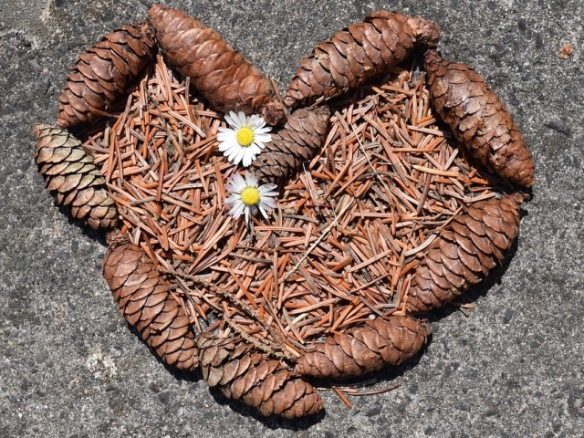 Atunci cand se pune suflet...