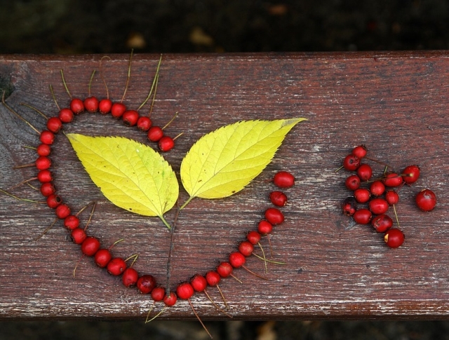 Luna iubirii, sarbatorita cum trebuie