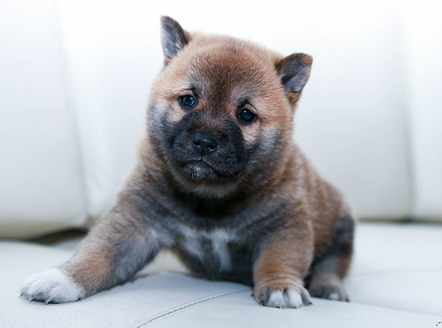 Iti fura inima in cateva secunde!