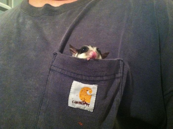 Cel mai bun loc de dormit