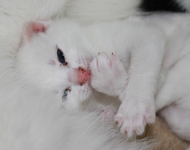 Te lasa fara cuvinte!