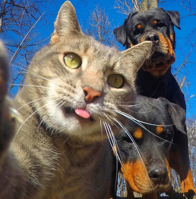 "Aratam bine si fara Photoshop"