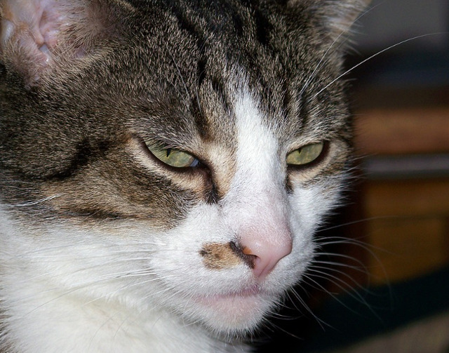 Zambet? Mai bine nu!