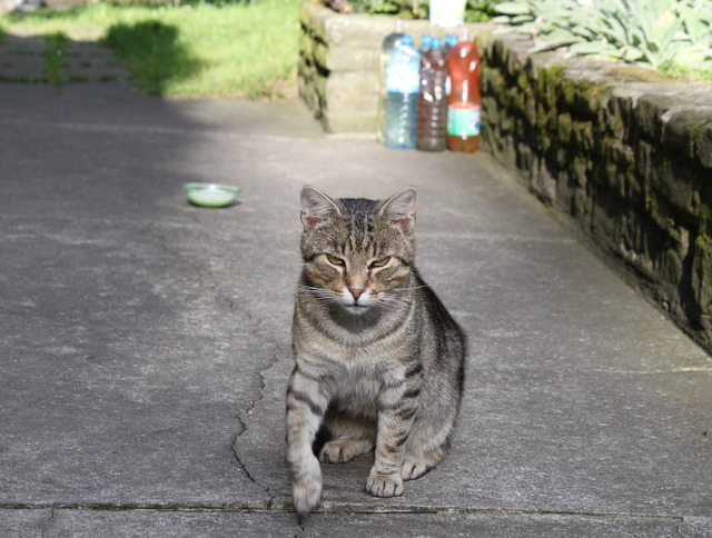 O zi ca toate celelalte...