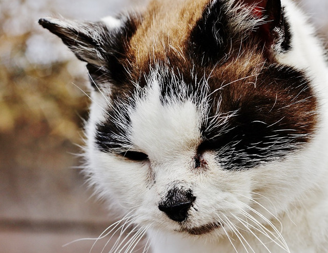 Atunci cand nu se intampla nimic din ceea ce ti-ai imaginat