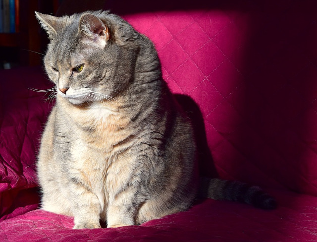 Nu este deloc o zi buna...