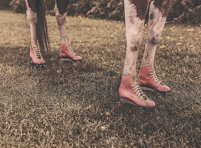 Cea mai bizara fotografie...