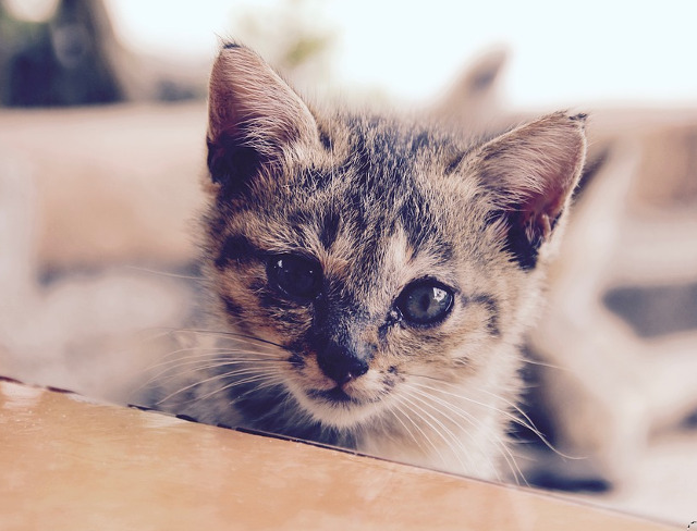 ...si de a ne umple viata!