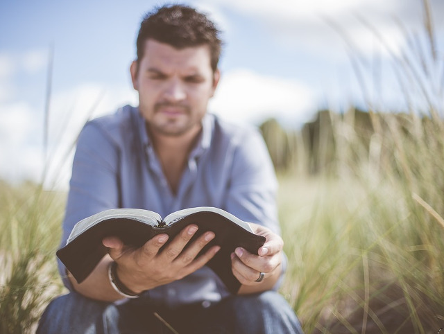 Ce strategii foloseste scriitorul pentru a transmite ideile-cheie in carte?