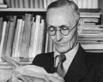 Hermann Hesse - Lupul de stepa