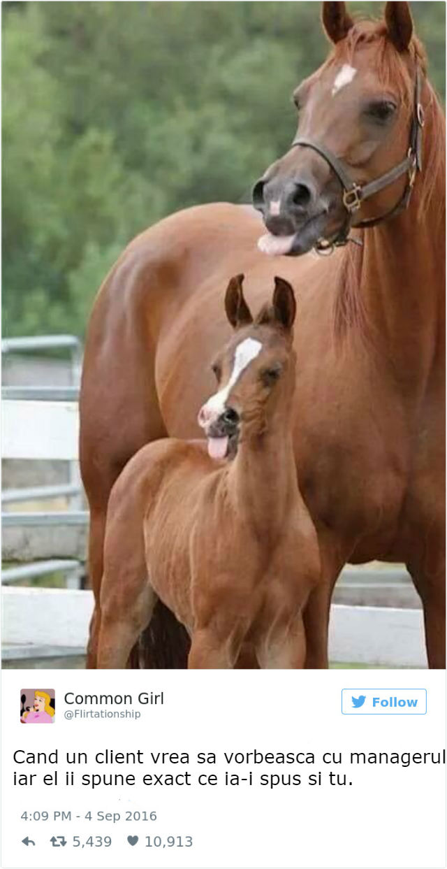 Imagini amuzante despre munca