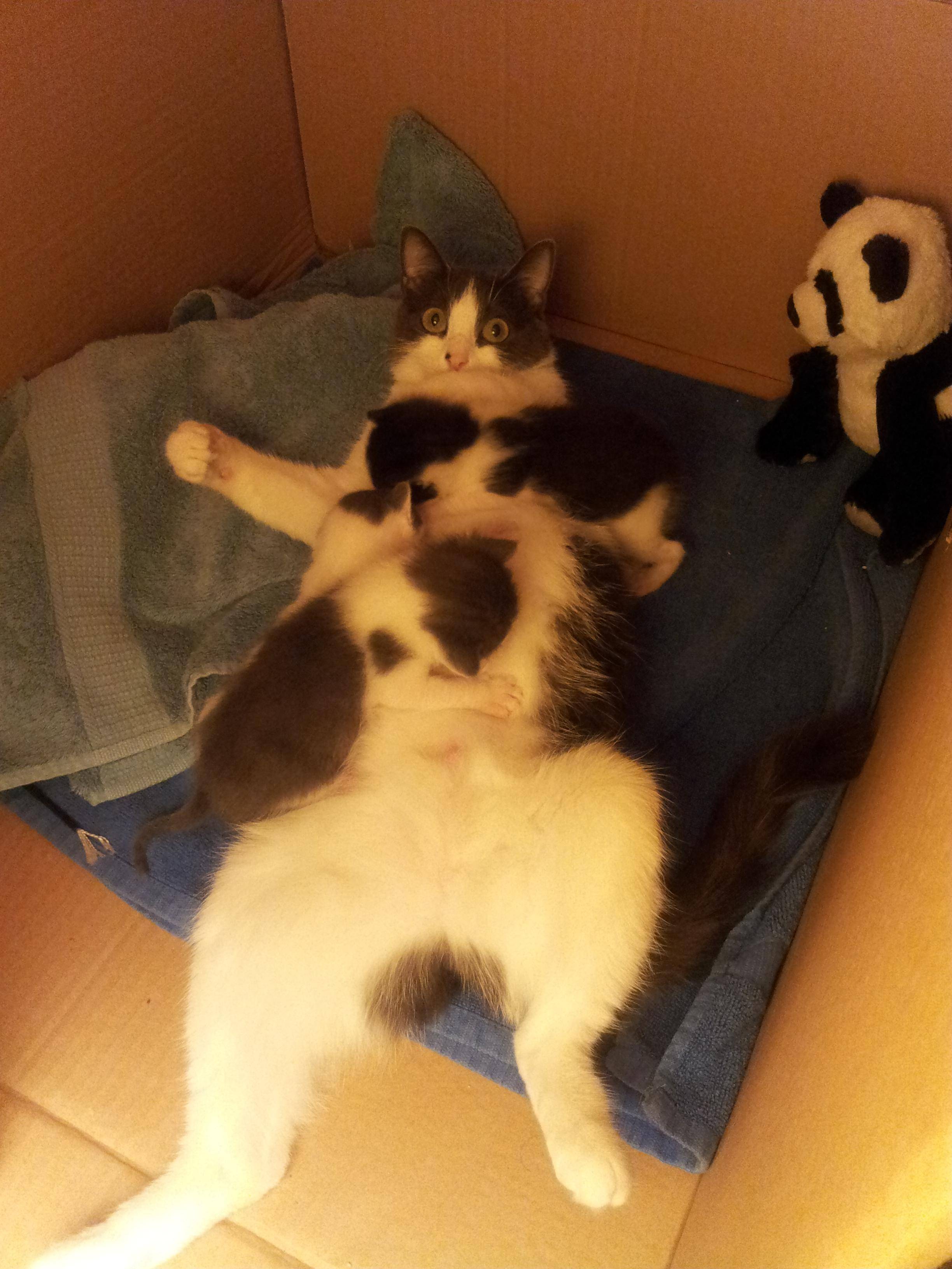 "Nu ma asteptam sa fie atat de greu!"