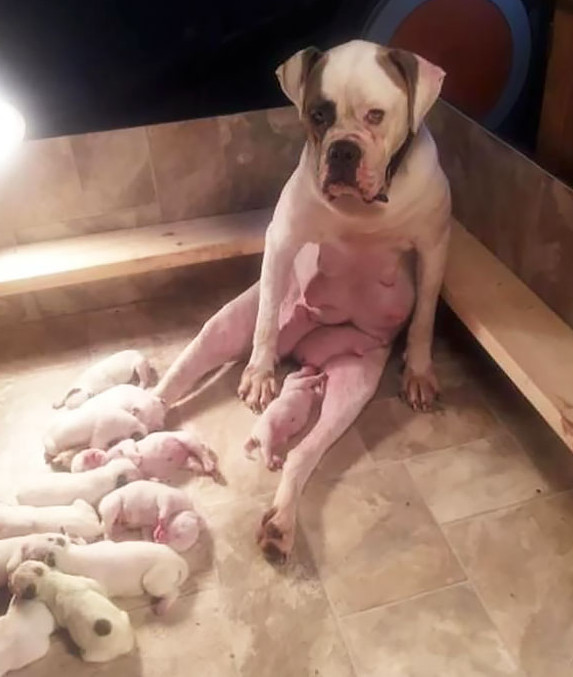 Nu e usor cu atat de multi copii.