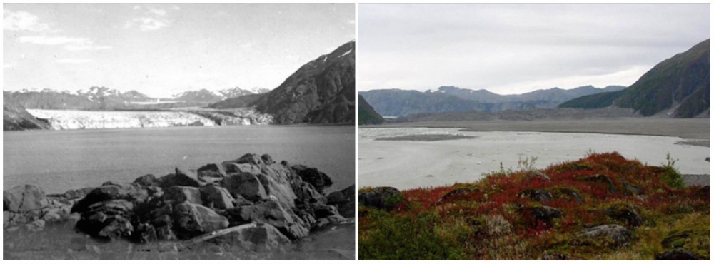 Glaciarul Carroll, august 1906 vs septembrie 2003