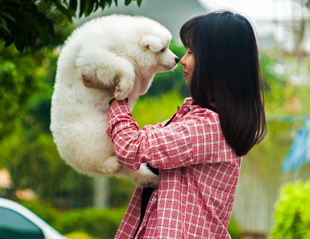 Iubitorii de caini tin cont de reguli