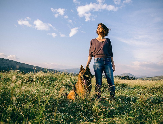 Iubitorii de caini sunt dominanti