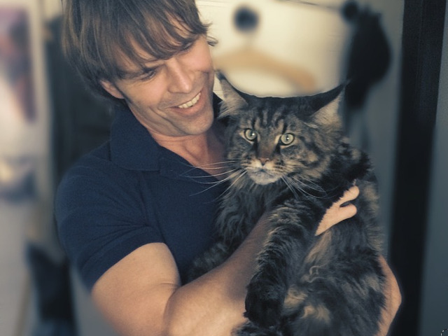 Iubitorii de pisici sunt mai sensibili