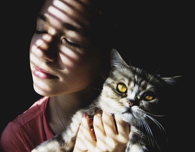 Iubitorii de pisici prefera singuratatea