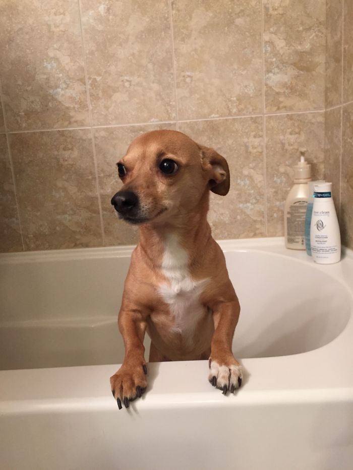 "Sunt pregatit pentru ce-i mai rau!"