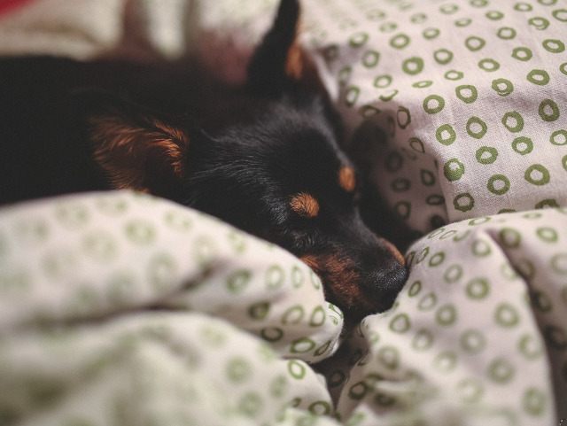 Relaxare, confort, liniste