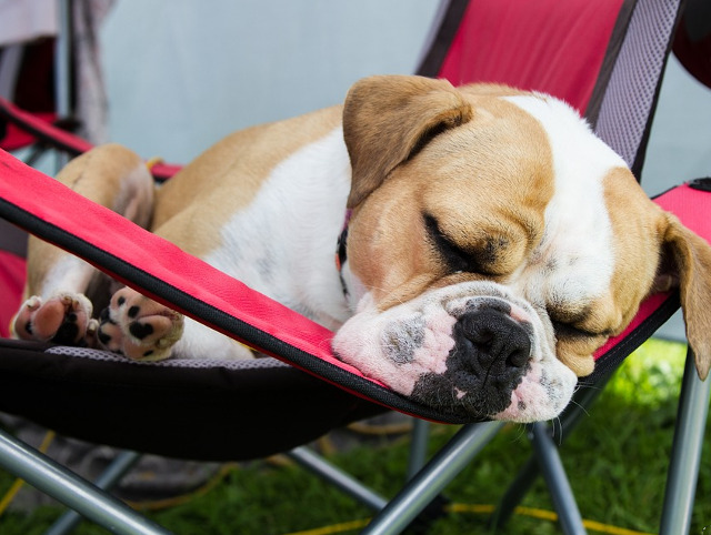 Atunci cand oboseala isi spune cuvantul