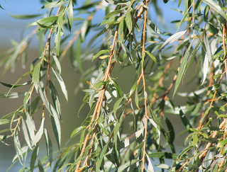 Ce trebuie sa faci pentru binele casei