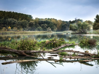 Ce trebuie sa faci pentru a fi sanatos tot restul anului