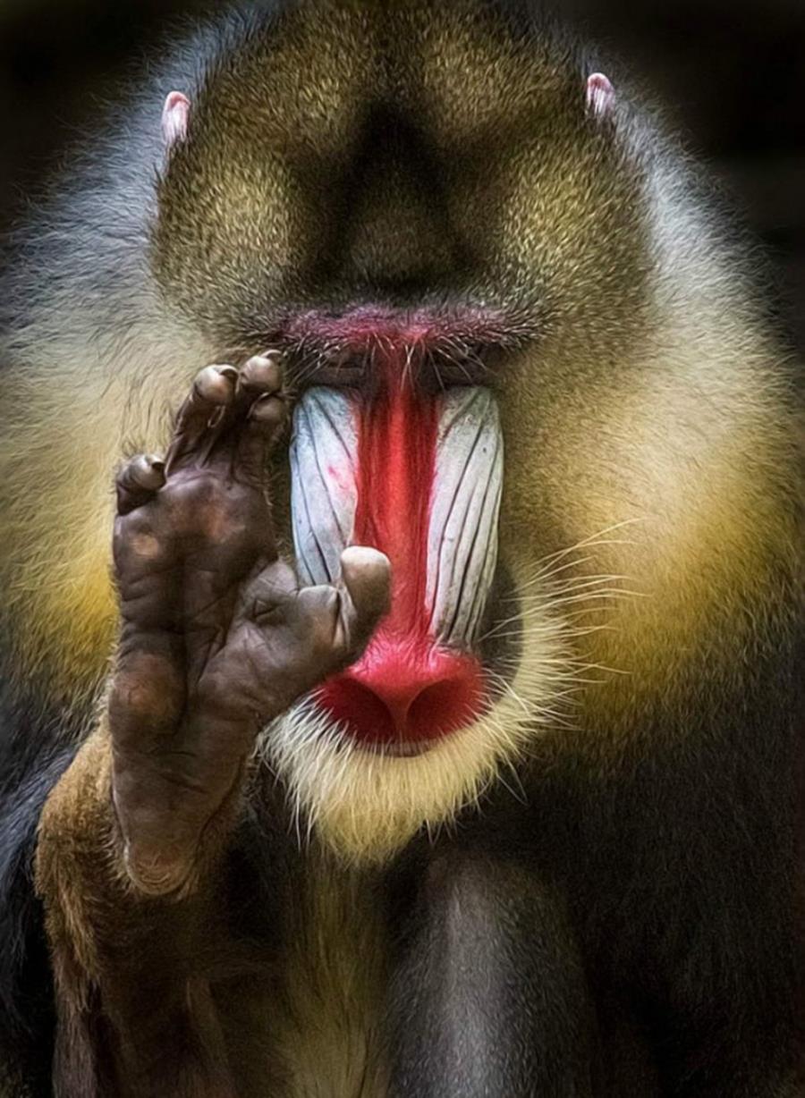 10 fotografii care nu au nevoie de prezentare