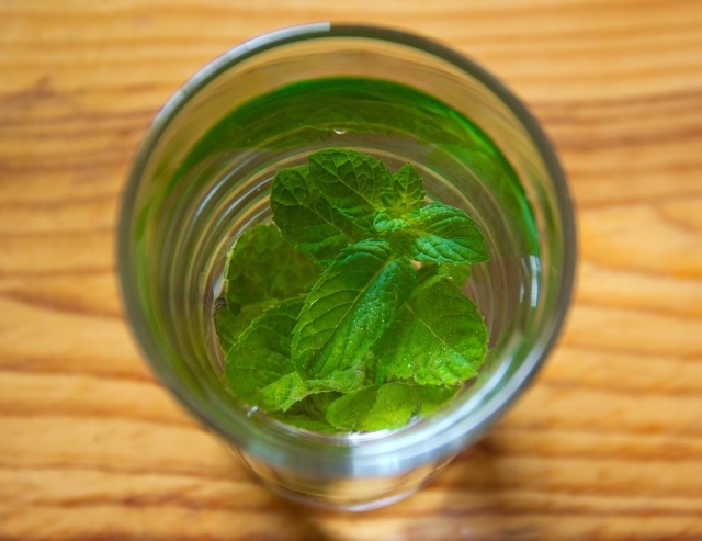 Opteaza pentru menta