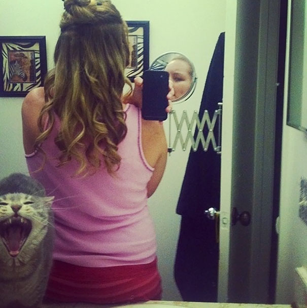 O pisica satula de selfie-urile stapanei