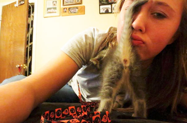 O pisica impertinenta