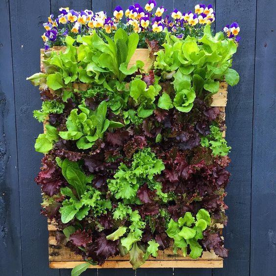 10 idei de infrumusetare a gradinilor in cel mai ieftin mod