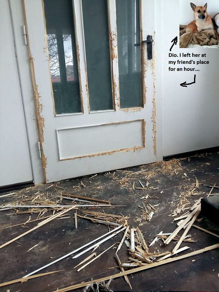 "Voiam doar sa ies din casa!"