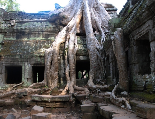 Intr-adevar o minune a lumii