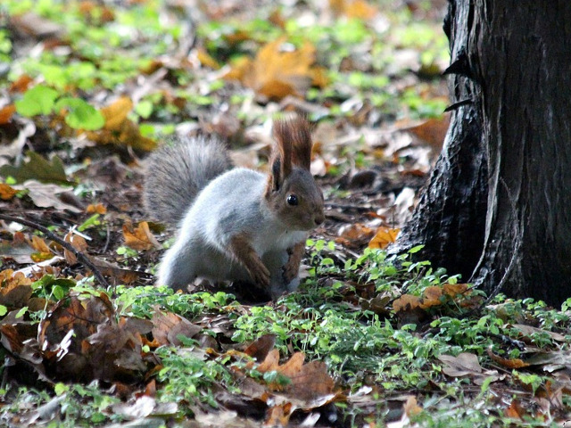 ...mereu in cautare de ceva nou