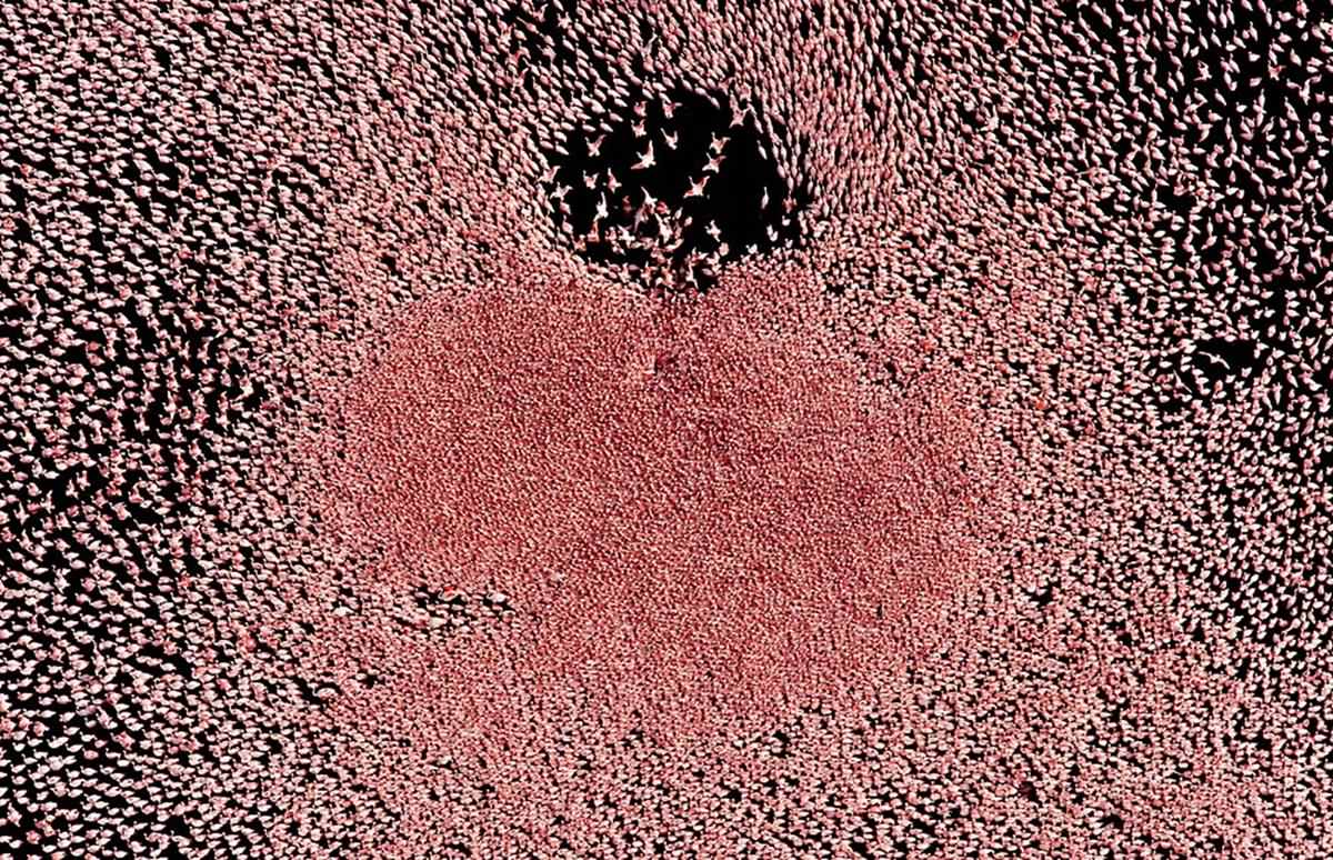 10 imagini splendide care nu au suferit nicio modificare