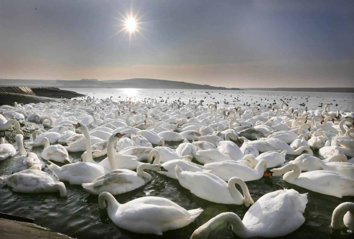 10 imagini splendide care nu au suferit nicio modificare