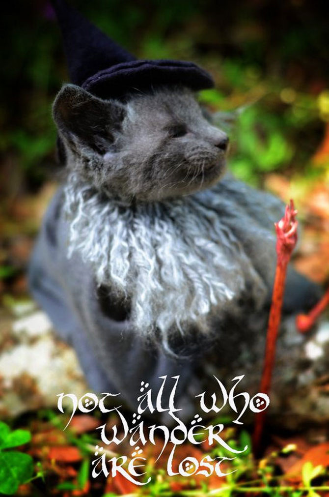 Pisici costumate in personaje celebre