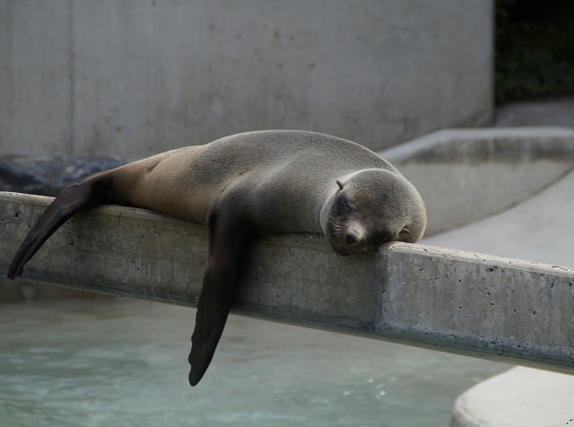 Te cucereste pe loc!