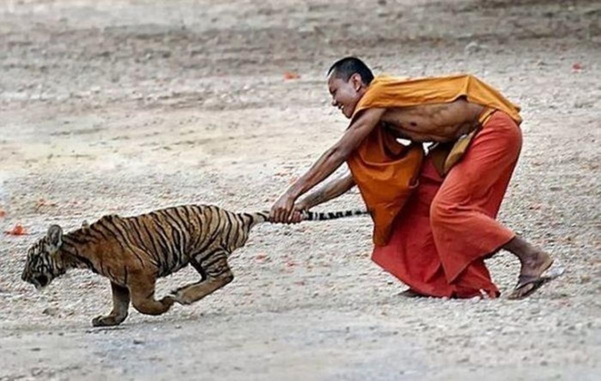 Unii oameni chiar nu pun mare pret pe viata lor