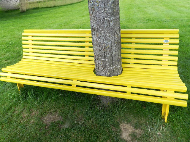 Incredibil, dar adevarat