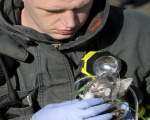 Un pompier masca de oxigen unei pisici pe care tocmai a salvat-o dintr-un incendiu