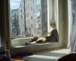 12 imagini cu pisici care iubesc soarele mai mult decat orice