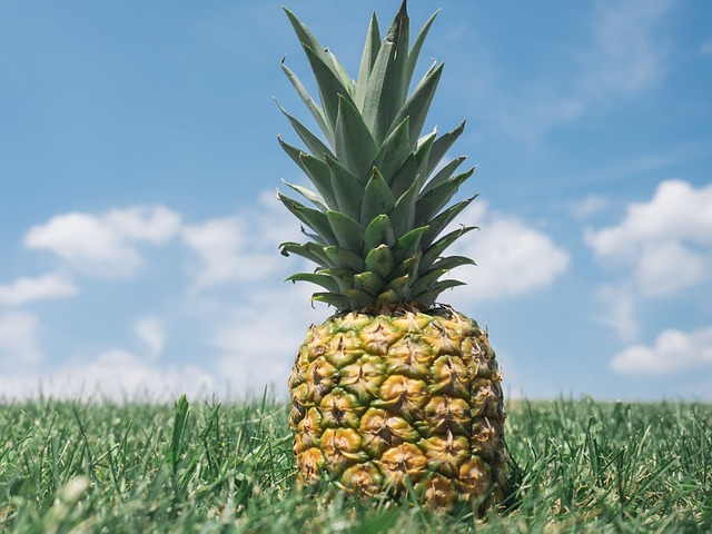 Ananas