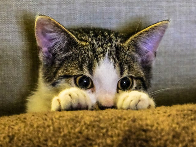 Gasesc lucruri pierdute