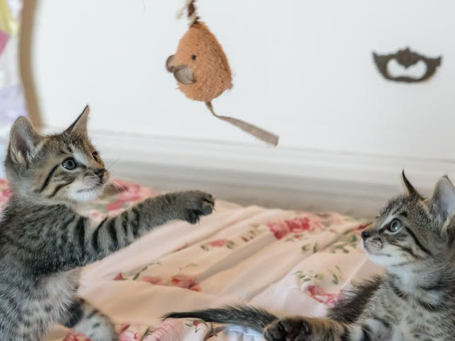 Traiesc intens fiecare moment